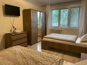 Anna Lakás Százhalombatta - Image 4