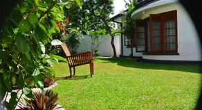 "27" Spathodea- Oasis in the City - Image 3