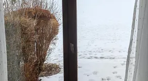 Cœur des neiges - Image 5