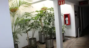 Hotel del Sur - Image 4