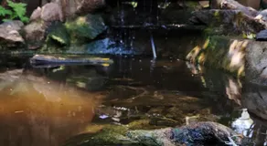Riverbush Lodge Guesthouse - Image 4