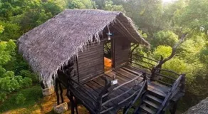 Forest Edge Yala Resort - Image 5