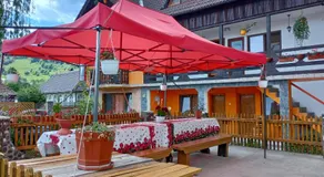 Pensiunea Irina 1 si 2 - Image 2