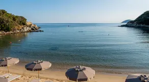 Elbamar Procchio - Image 5