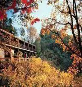 Skyland Resort - Image 3