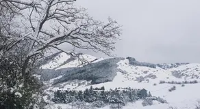 Fiocco di Neve - Image 4