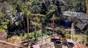Blue Mountains Urban Farm Stay near Sydney - Image 5