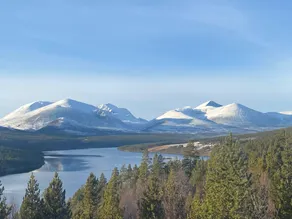 Live in the realm of the musk oxen on Dovrefjell - Image 5