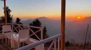 The Deodar Stays - Image 3