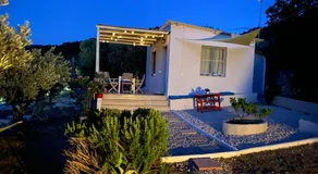 Olive Hill Private House - Image 4