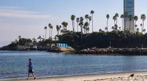 Long Beach 2BR and 1BA Charming Condo Near Alamitos Beach, Marina, Cafes & Shops - Image 3