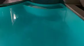 Luxury 1900 SQ FT House Huge 46 FT Pool & Hot SPA - Image 4