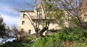 Cicendolle - Image 3