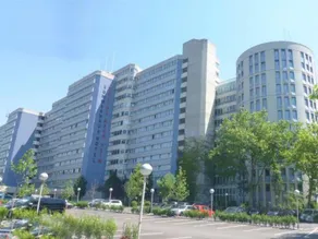 Hotel Sommerhaus Linz - Image 3