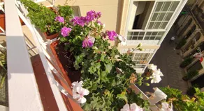 Apartamento Gravina - Image 5