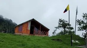 Las Bromelias - Image 4