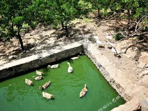 Yueli·Xiaoye Valley B&B - Image 4