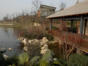 Sichuan Tennis International Hotel Main Building - Image 5