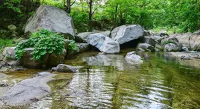 Hwacheon Turkey Valley - Image 4