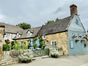 The Old Pheasant - Image 1