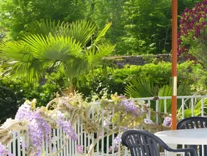 Hotel Ker Vennaik - Image 5