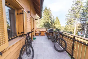 Rogla Alpina Residence - Image 2