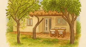 Little Citrus Yard - Image 5