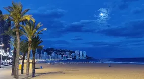 HomeBenidorm - Image 4