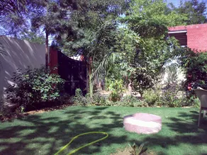 Nature Resort - Image 3