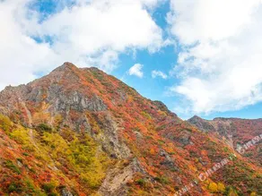 Minshuku Kusano - Image 2