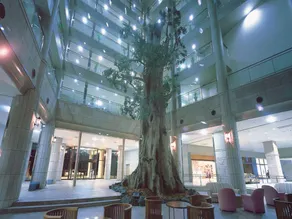 Yakushima Iwasaki Hotel - Image 4