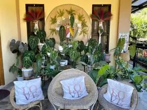 Garden nen Ines Guest House - Image 3