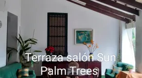 Sun & Palm Trees - Image 3
