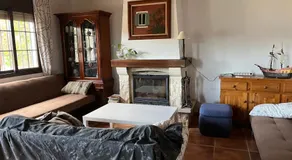 Farmhouse surrounded by centenary olive trees - Image 2