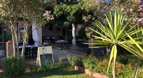 I Girasoli - Image 2
