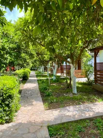 Safir Pansiyon - Image 3