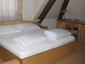 Hotel Zlaty Lev - Image 4