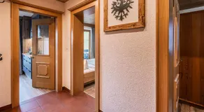 Appartements Kaltenbach - Image 3