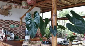 EcoCasa del Aire - Image 4