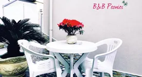 B&B Peonies - Image 2
