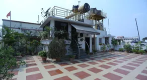 Golden Orchid - Image 3