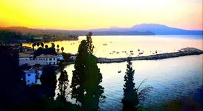 Alex - Nancy Apartments - Zaga Beach - Image 3