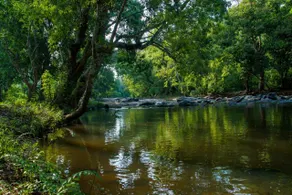 Vanatheeram Resorts Kattikulam Tholppety Wayanad - Image 4