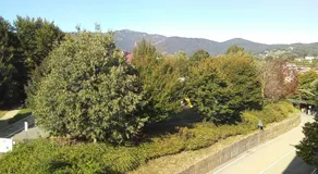 Stanza ai Colli - Image 4