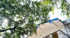 Muffys Villa - Image 4