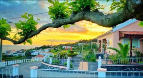 Miradouro da Papalva Guest House - Pico - Azores - Image 2