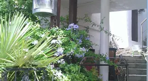 Apartments Luka - Image 3