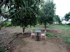 Ekant tourist resort - Image 5