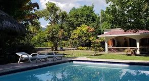 Casa en el Arbol - Image 4