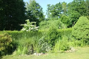 Ostsee Traum - Image 1